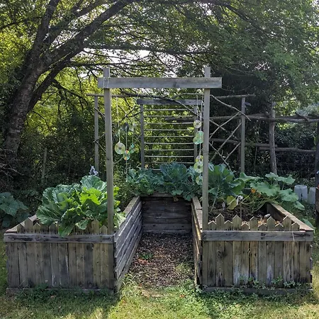 D'hote La Fontaine ベッド・アンド・ブレックファスト Saint-Michel-Lapujade